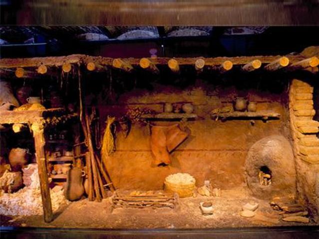 Prehistoria-Edad de Bronce