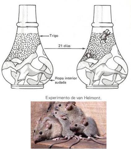 Experimento Van Helmont