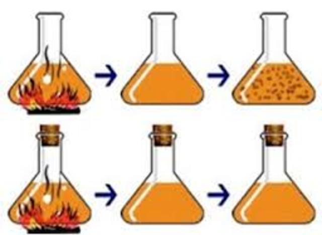 Experimento Spallanzani