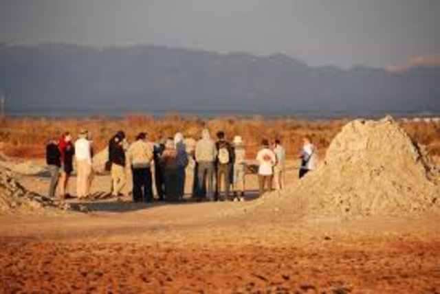 I went on a fieldtrip.