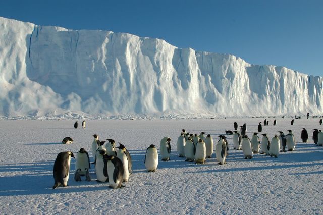 Environmental Protection to the Antarctic Treaty