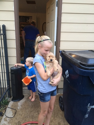 Brought home my new dog, Daisy.