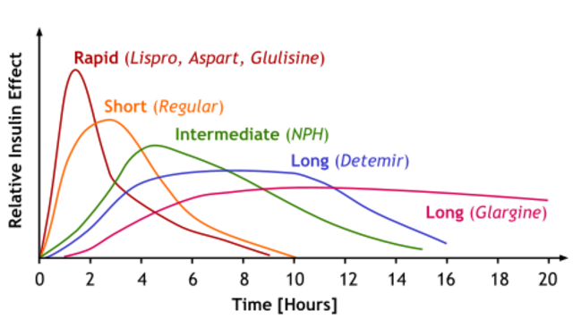 Rapid acting insulin