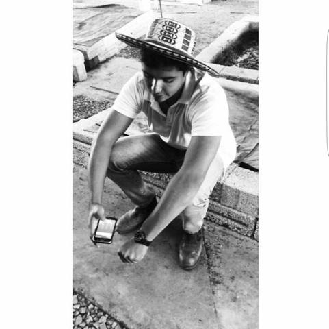 Proyecto de Compostaje