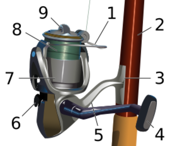 First Fixed Spool Reel