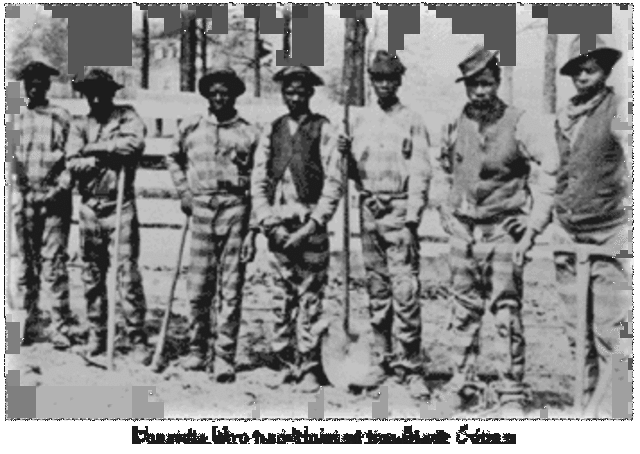 Post Civil War southern society