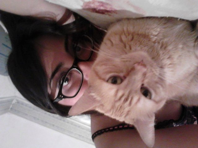 Tuve mi segunda mascota, Arei