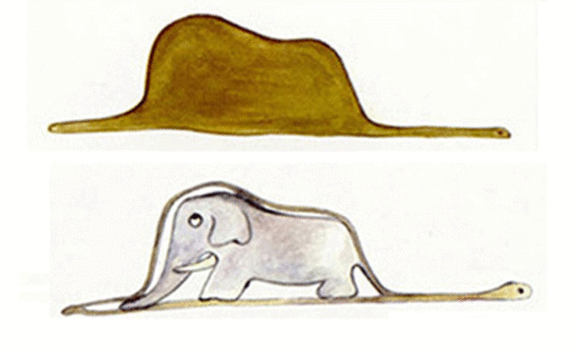 EL DIBUJO(¿ELEFANTE O SOMBRERO?)