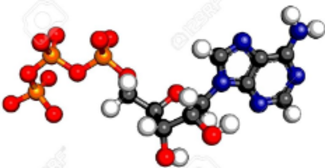 Paul D. Boyer, John E. Walker, Jens C.Skou.