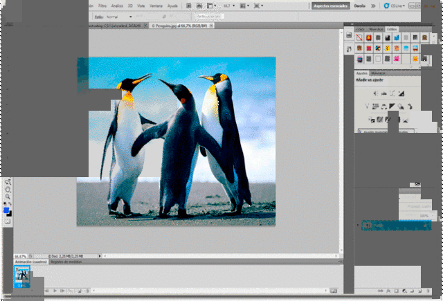 Adobe Photoshop CS5