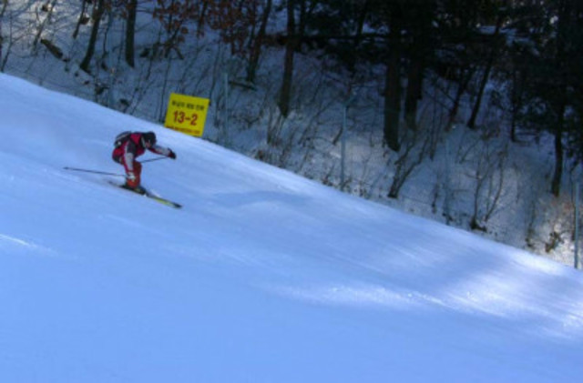 I learned how to snowskiing from my father.