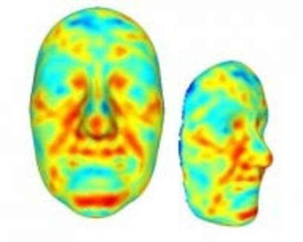 tratti del volto più ereditabili