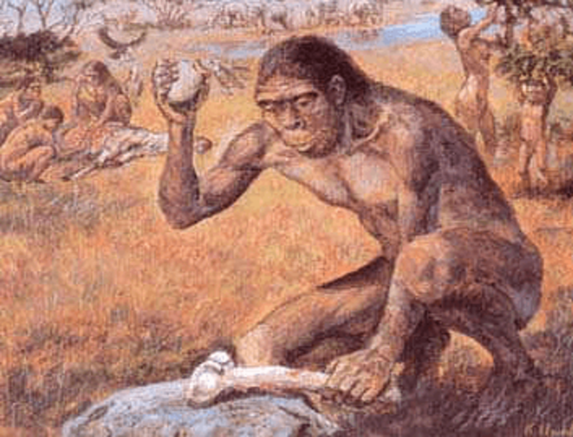 Período paleolitico