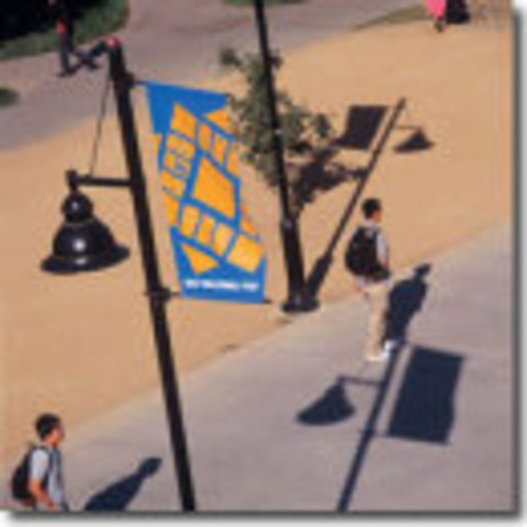 I started study at SAL