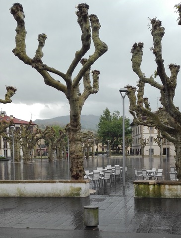 1:00 concierto en la plaza