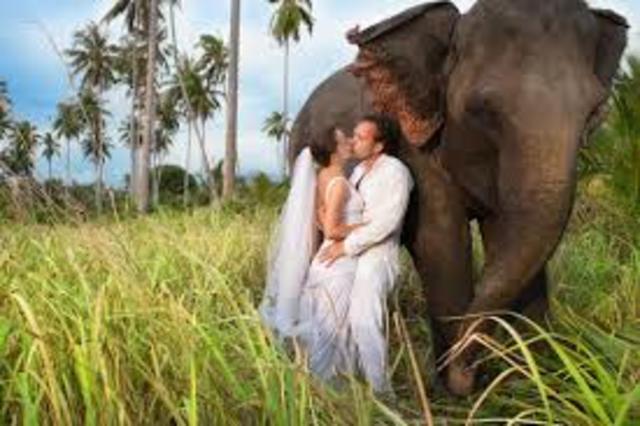 Getting Married AGE:23