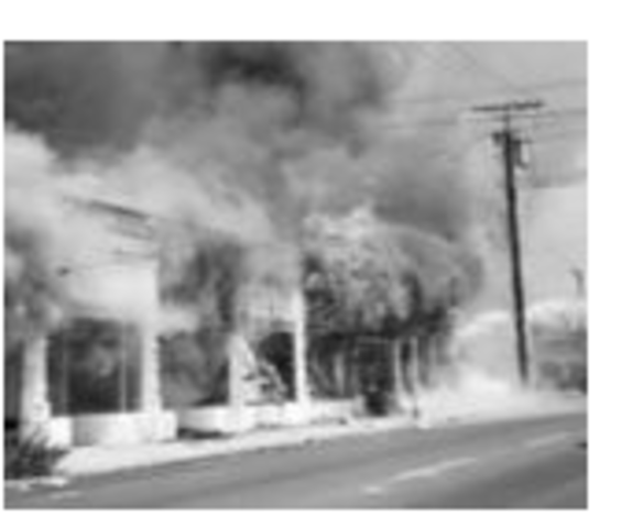 Watts Riot