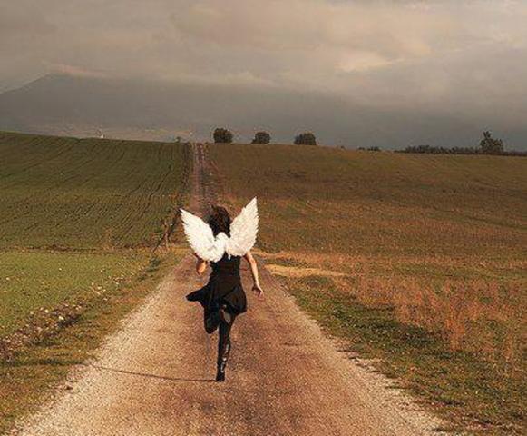 "Som englene flyver" af Naja Marie Aidt