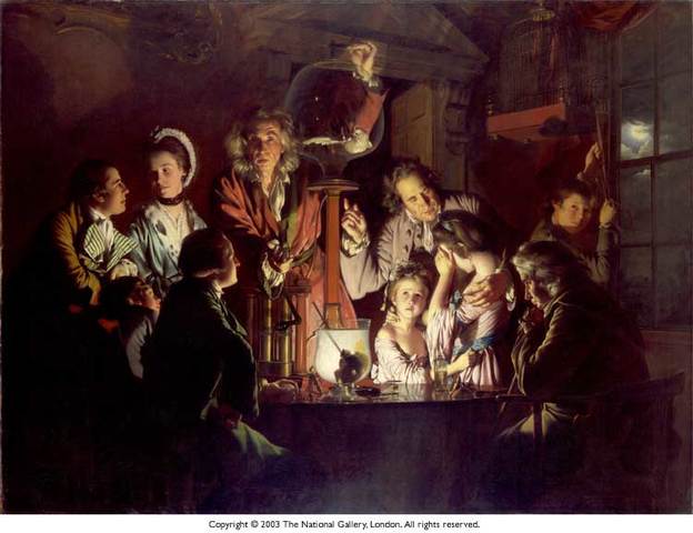 An Experiment on a Bird in the Air Pump