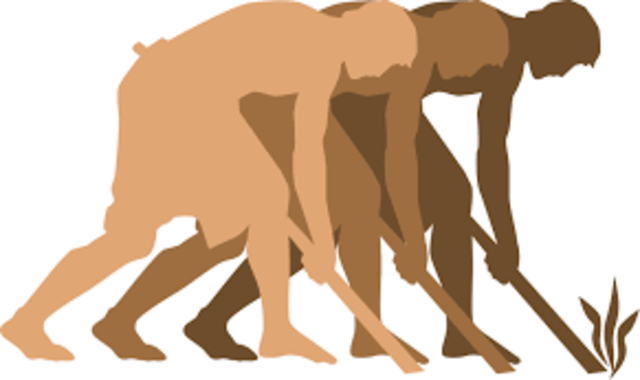 6 million africans were taken to ammericans as slaves