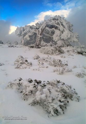 Primera experiencia laboral