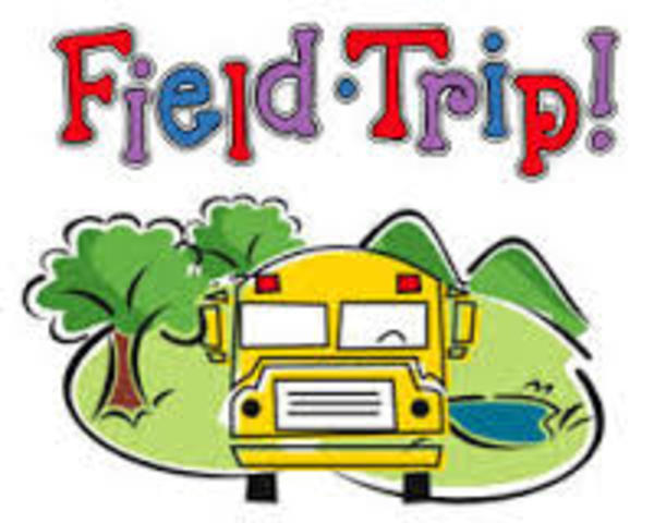 My first field trip