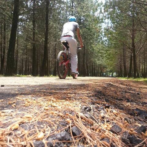 aquellos maravillosos años