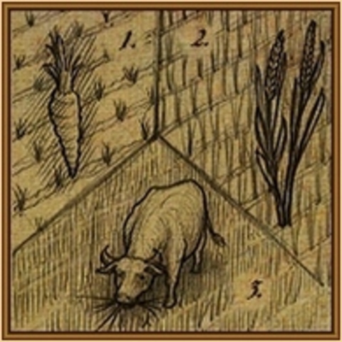 rotación de cultivos