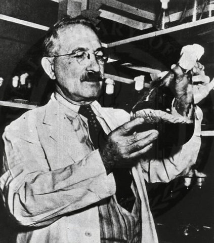 Descubrimiento de la estreptomicina