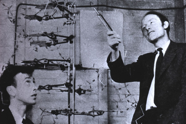 Descripción del ADN