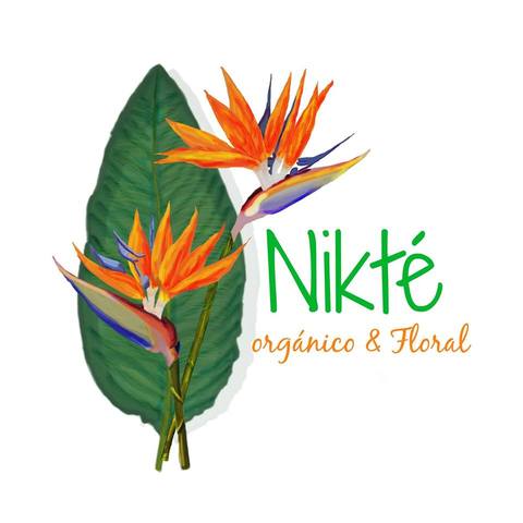 Creación de mi propia empresa