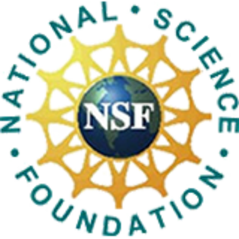 nsf crea su prpia red red informatica llamda nsfnet