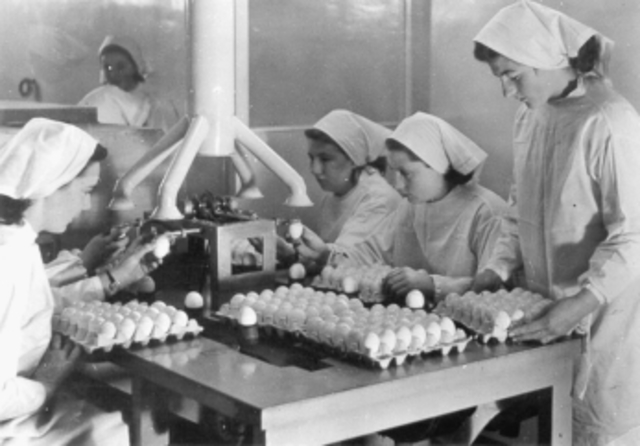 Primera vacuna contra la influenza