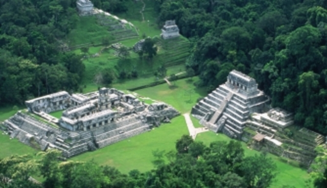 The Maya