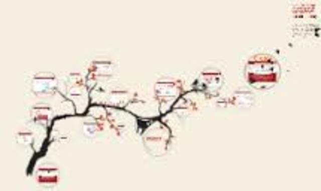 La construcción del Derecho de Acceso a la Información en México