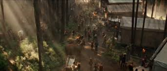 Rebuilding of the Camp