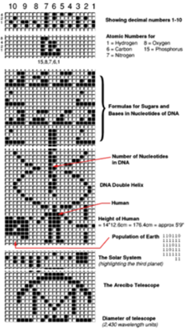 Se envía al espacio exterior una señal de radio que describe la localización la Tierra en el espacio y una descripción de los seres humanos
