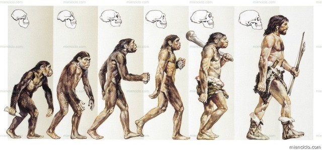 Evolucionismo en psicología