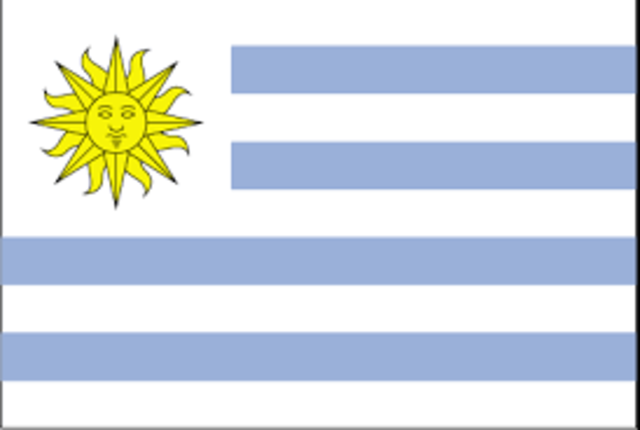 Latin American War (South)