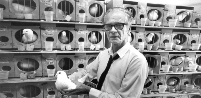 Analisis experimental de la conducta humana