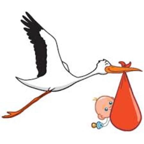 Birth of first child