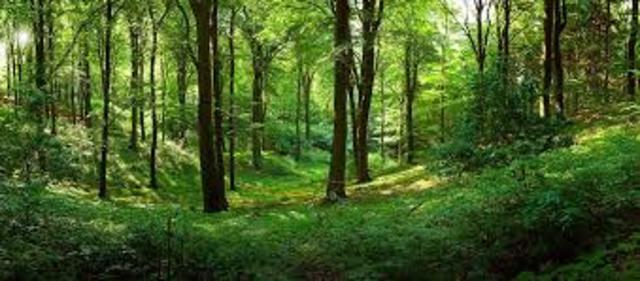 First time Billy jumps through time.