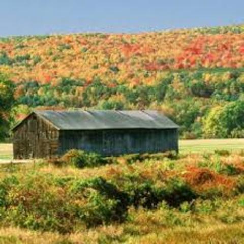 Massachusetts was the 4th colony