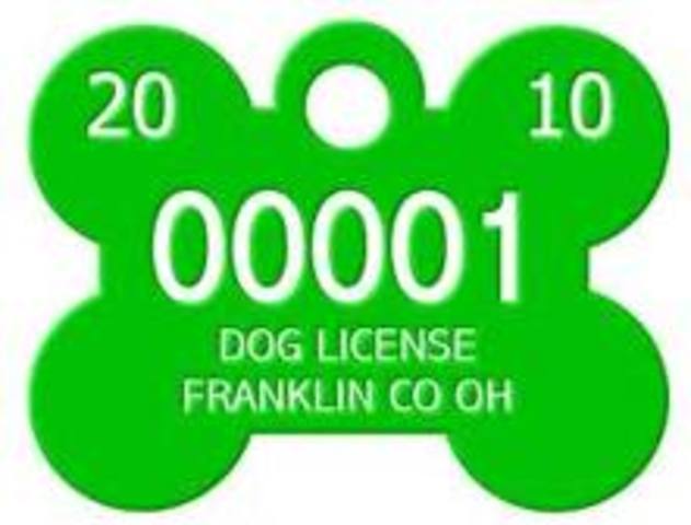 Bella got her first dog tag