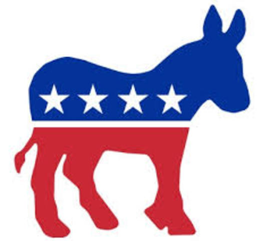 the democratic party takes over both houses