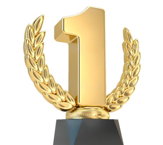 Premio "Innovador Emprendedor 2015"