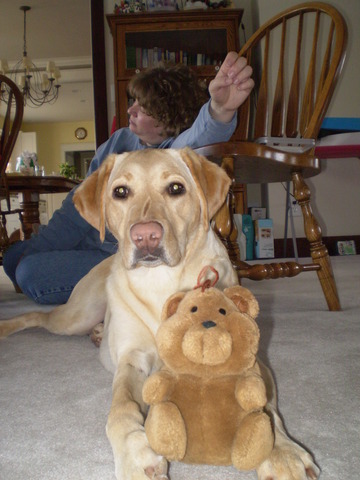 Bella's first Christmas