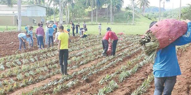 Proyecto de pulverización de cultivos 2007