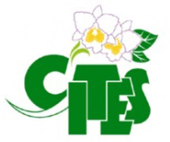 Convention of International Trade in Endangered Species