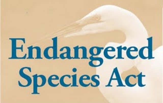 Endangered Species Act